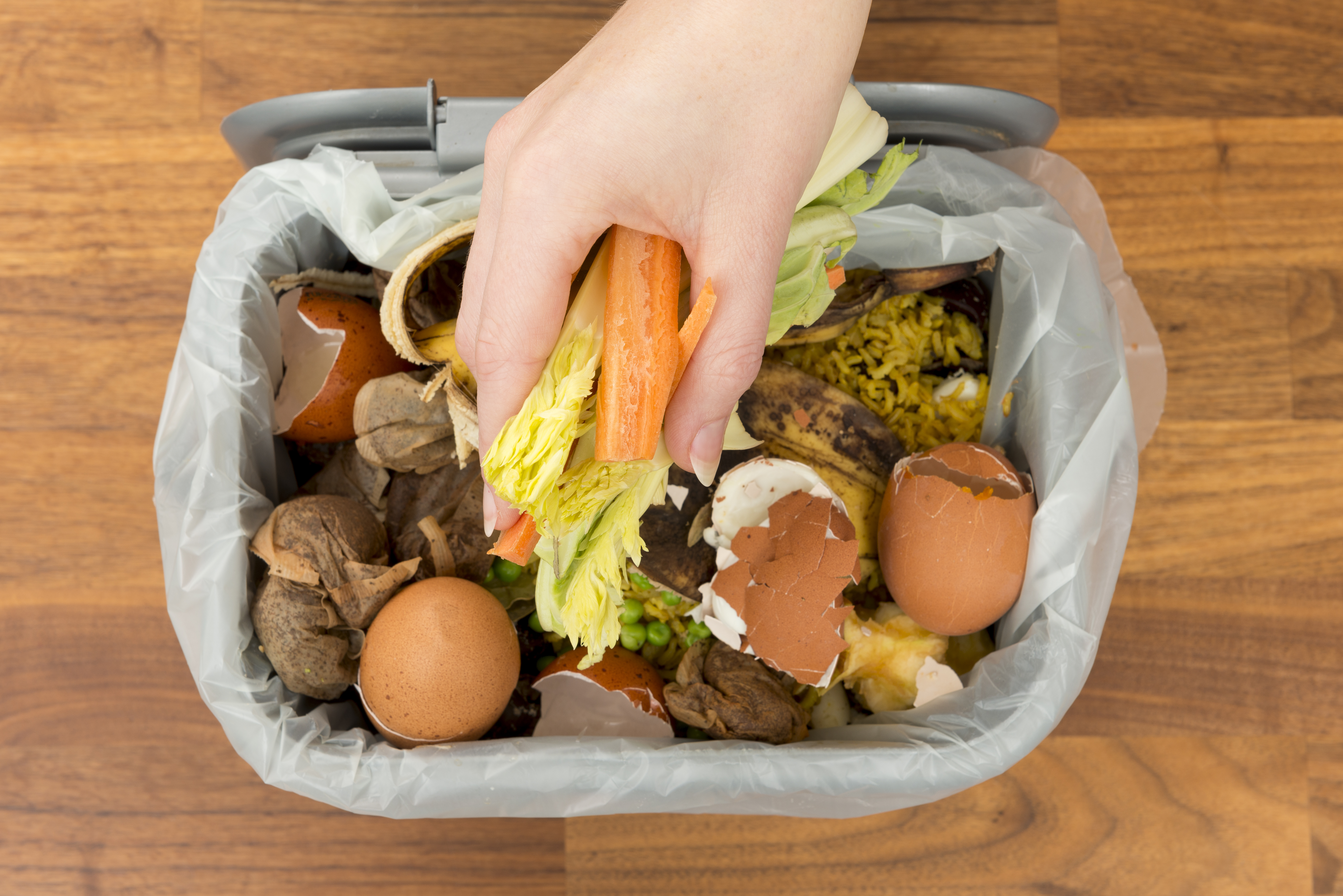 An aerial photo of a bin filled with egg shells and food waste with a hand adding vegetable peelings