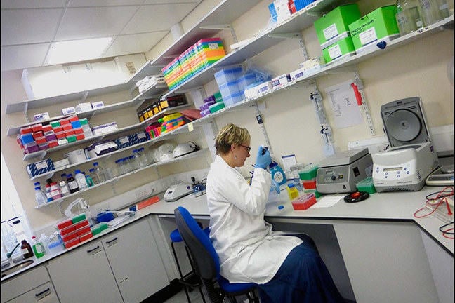 A scientist works in a lab