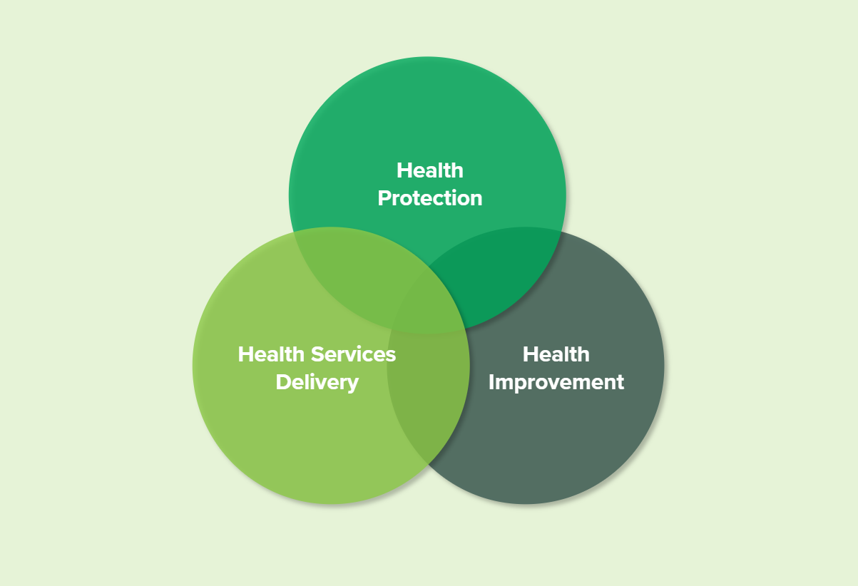 Public health delivery: health protection, health services delivery, health improvement