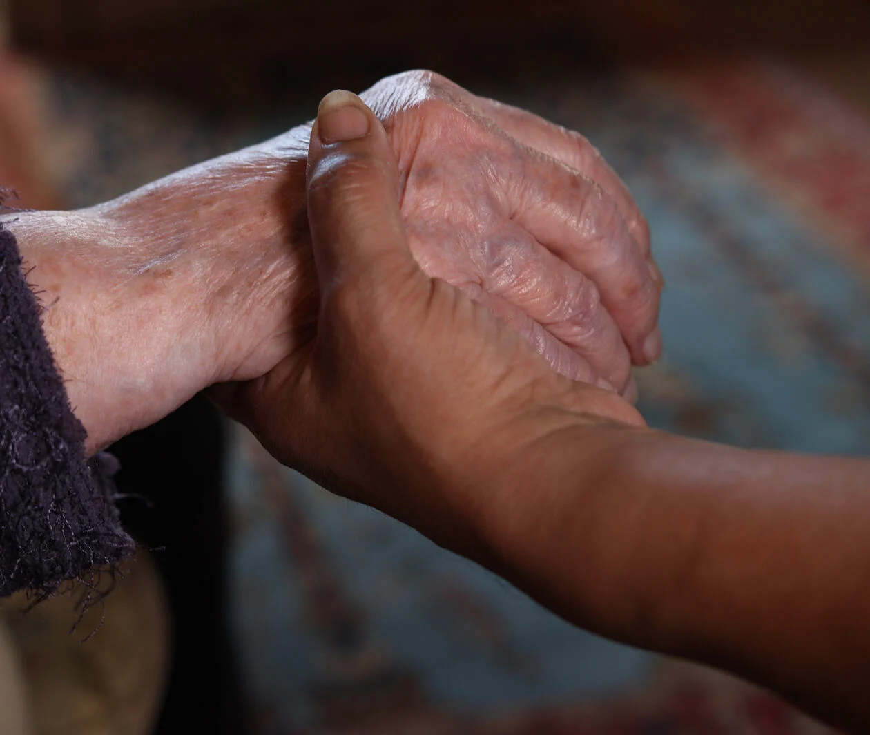 Image of an older person and a younger person holding hands in a comforting gesture