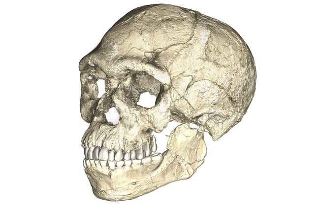 A composite reconstruction of the earliest known Homo sapiens fossils from Jebel Irhoud (Morocco) based on micro computed tomographic scans of multiple original fossils