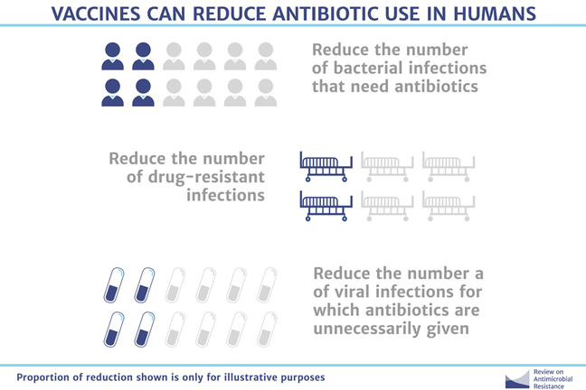 Graphic showing how vaccines can reduce antibiotic use