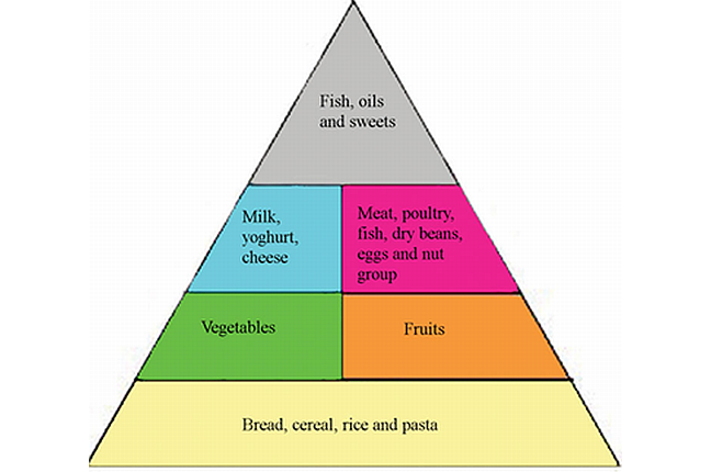 nutritional pyramid