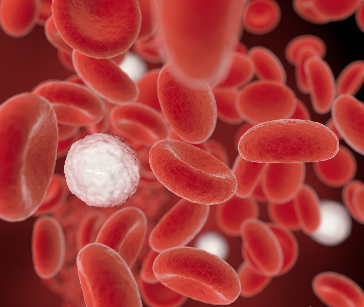 White blood cells in blood stream, 3D illustration