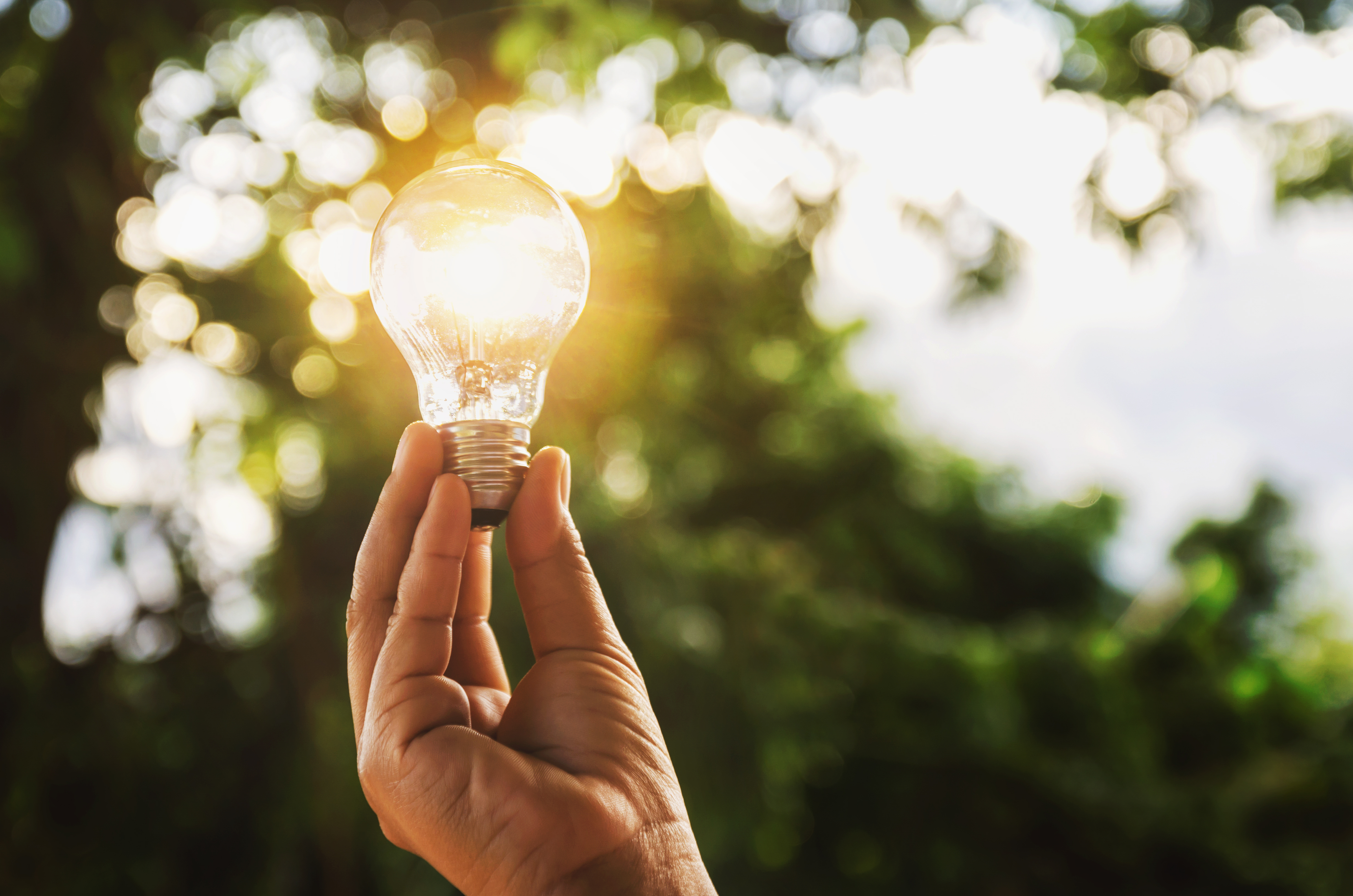 A man holding a lit lightbulb as he stands in a forest.