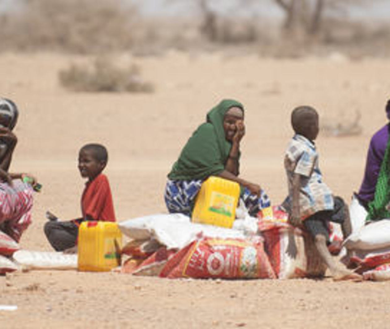 Le Développement Durable Dans L'Action Humanitaire