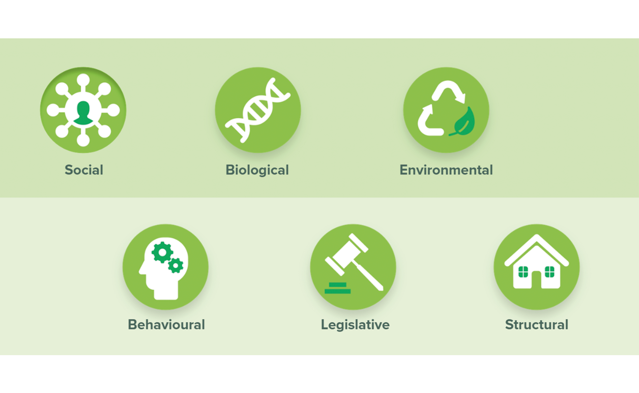 Six levels of public health action