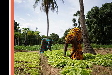 Climate Change and Resilience in Food Systems - cover image