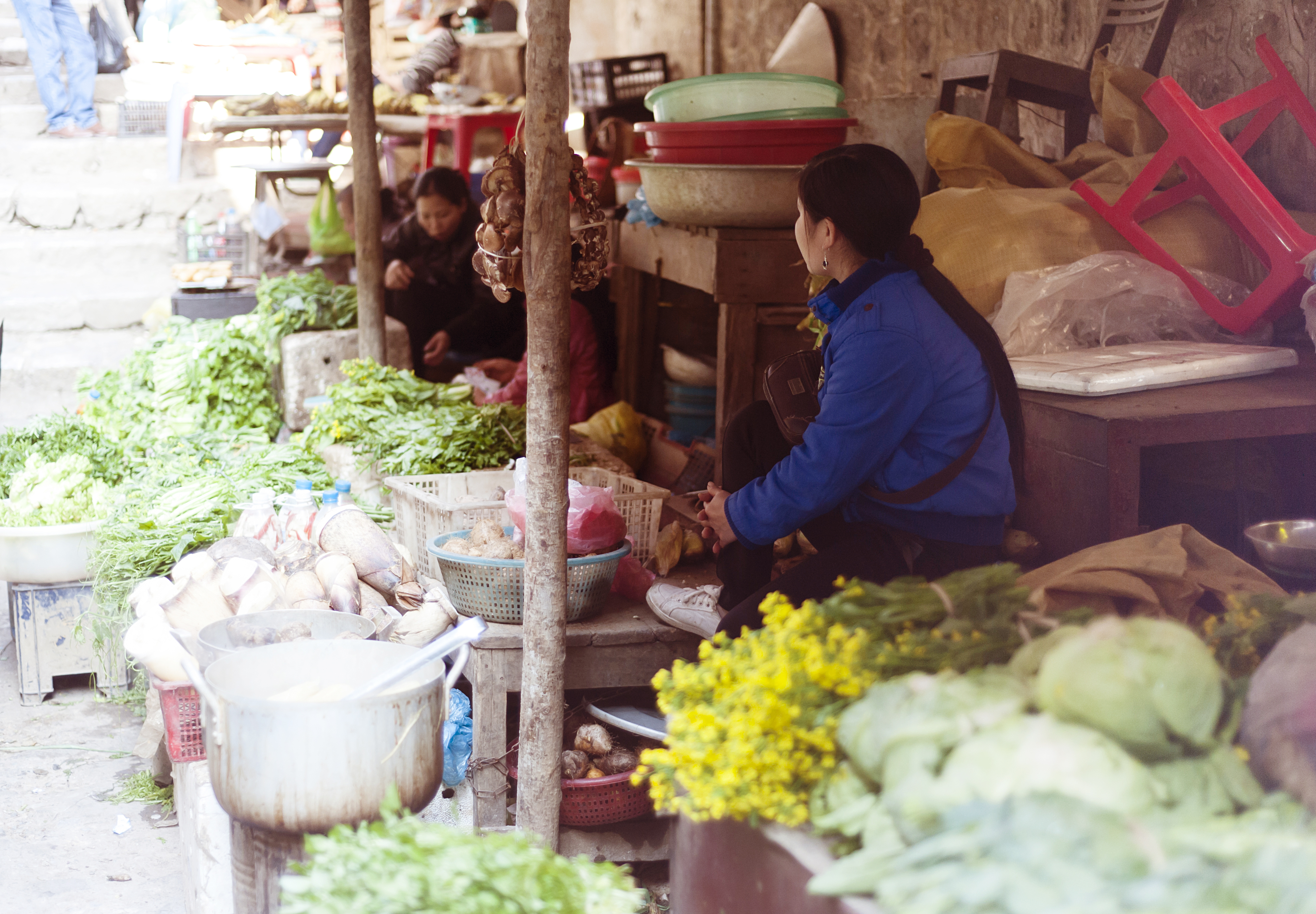 Fresh vegetable on traditional street market in Sapa, Vietnam