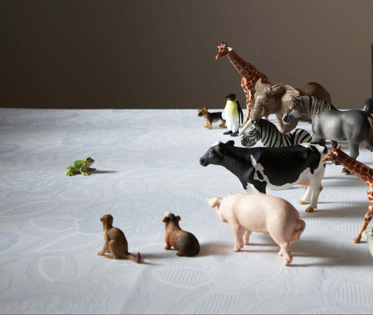 Animal figurines positioned on a table