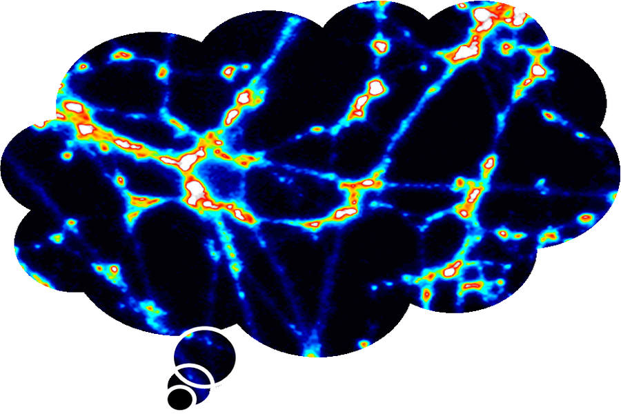 A fluorescent brain