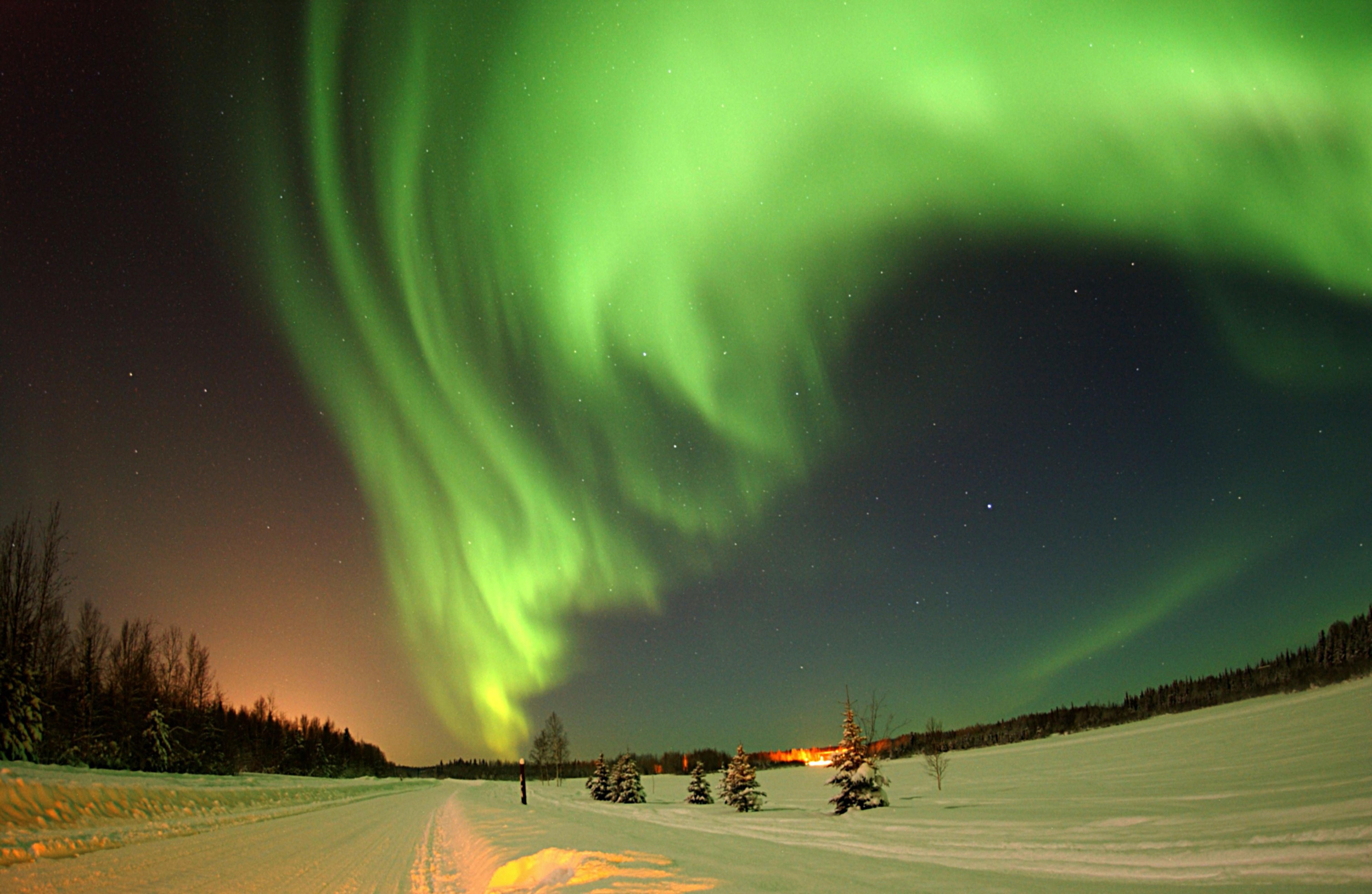 Northern lights over a snowy road and forest.