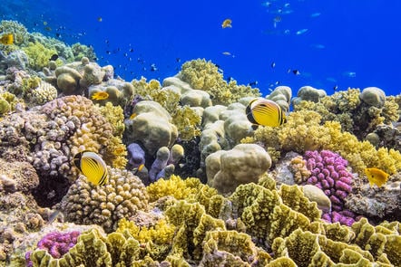 IUCN's Red List of Ecosystems - Course - FutureLearn