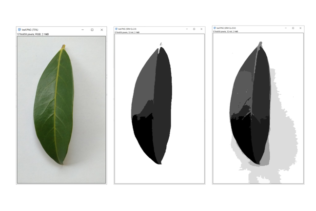 Practical: Region-based segmentation