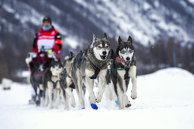 5 examples of snow as a renewable resource