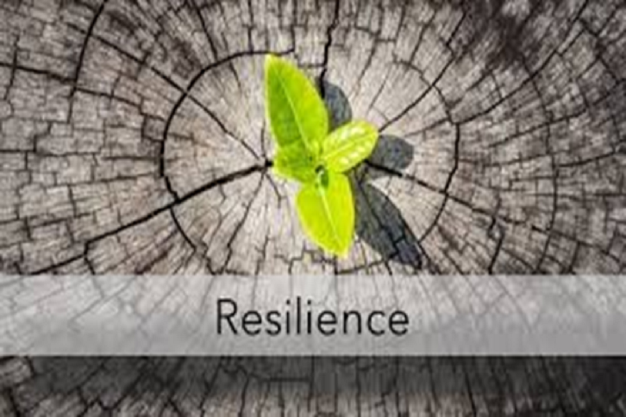 Green leaf on a tree trunk with the words resilience