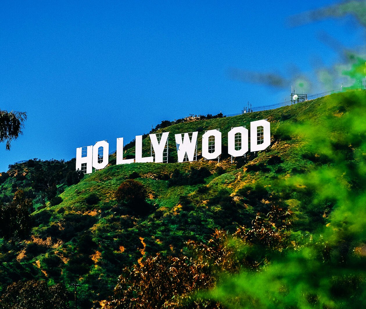 The Hollywood Sign as seen from below through the edge of a bush