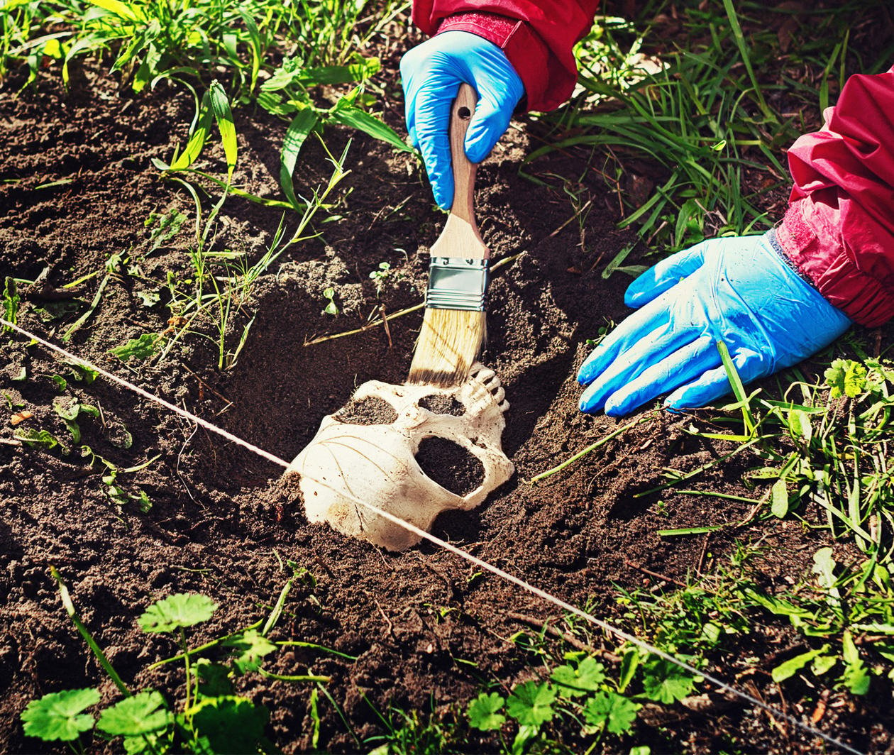 Researcher brushing a skull that has just been unearthed in an excavation