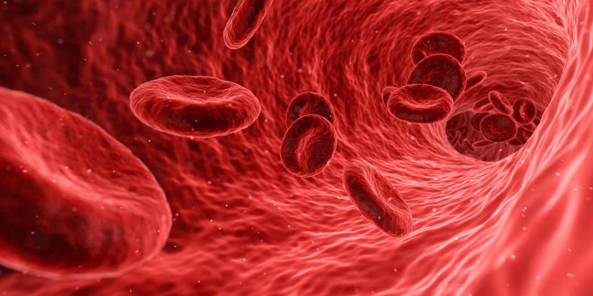 Illustration of bloodstream with red blood cells flowing