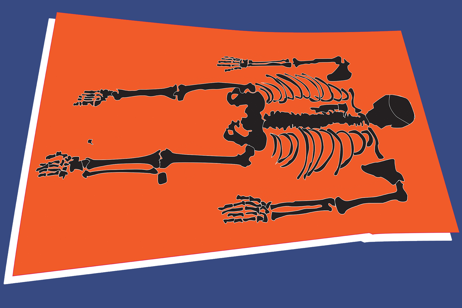 Illustration of a skeleton laid out for inspection