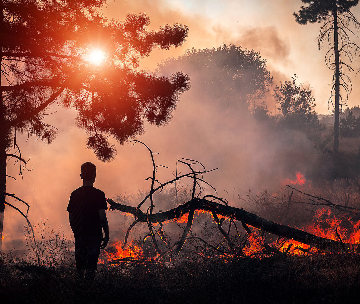 firefighters in new south wales Australia in front of an intense fire