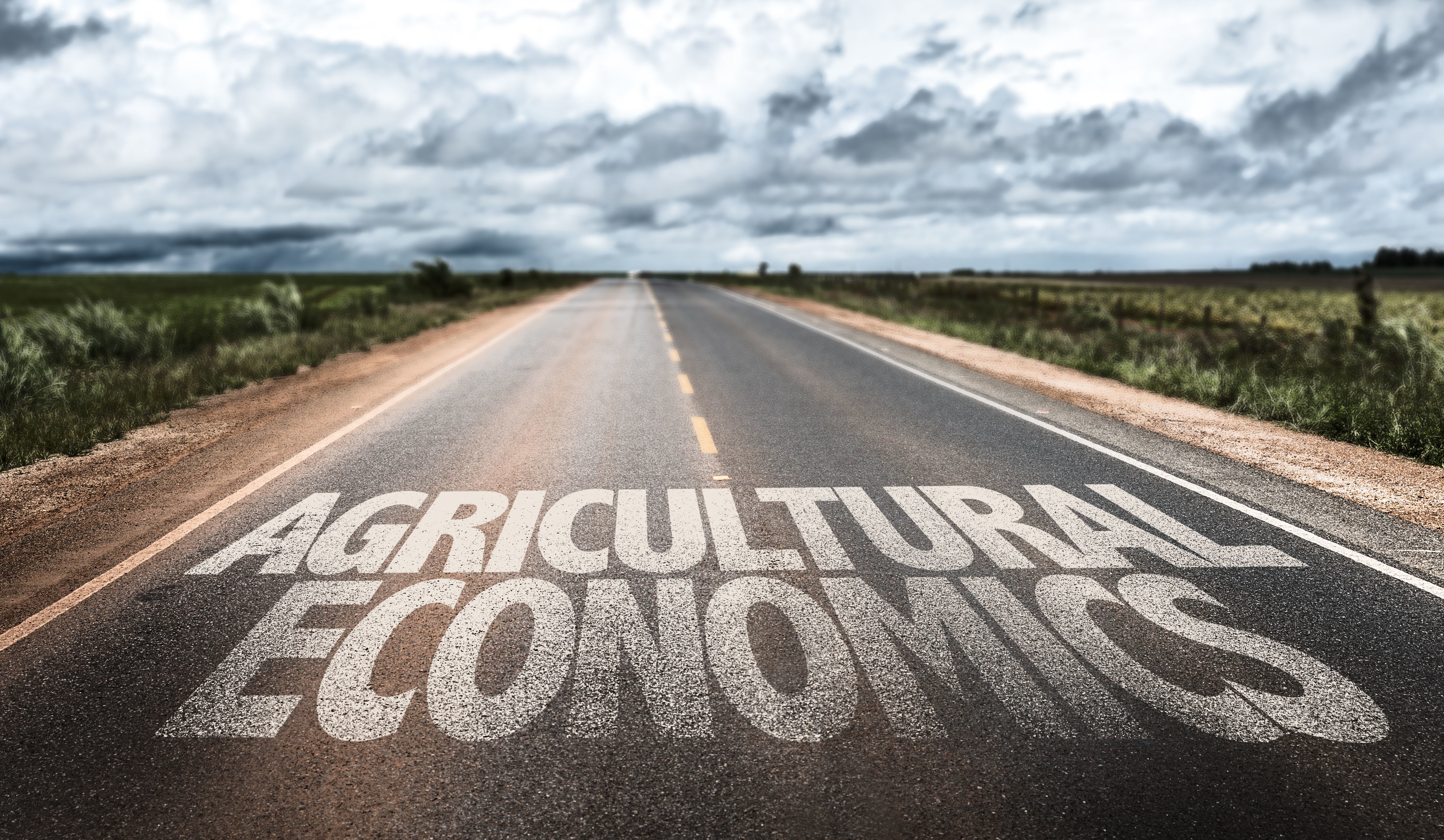 A photograph of a straight road disappearing into the distance. There are fileds on either side. The words AGRICULTURAL ECONOMICS are superimposed on the road.