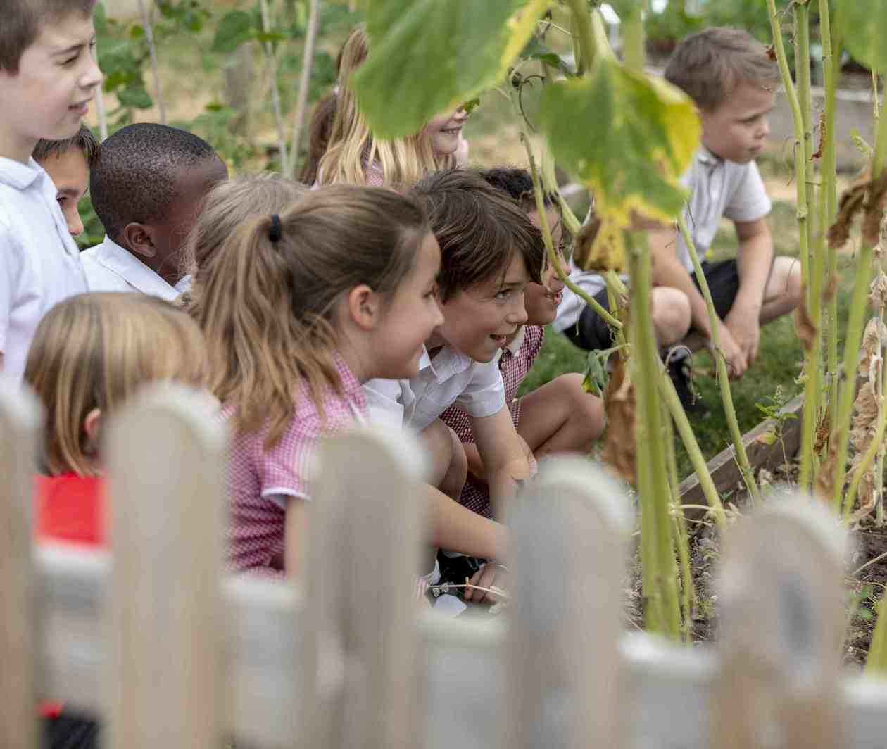 Primary school students in an outdoor setting