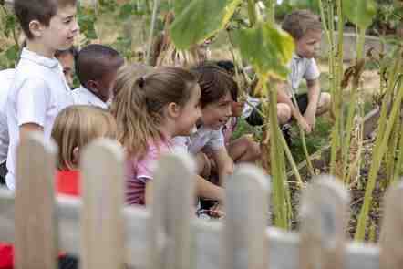 Supporting Successful Learning in Primary School - cover image