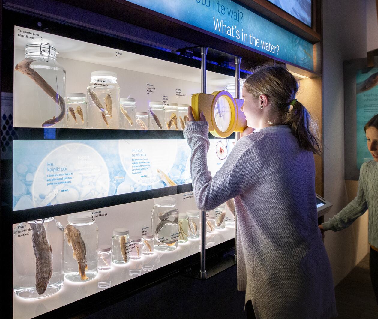 Girl holding a magnifying glass up in front of a glass case to view the bottled natural specimens inside it, within a museum.