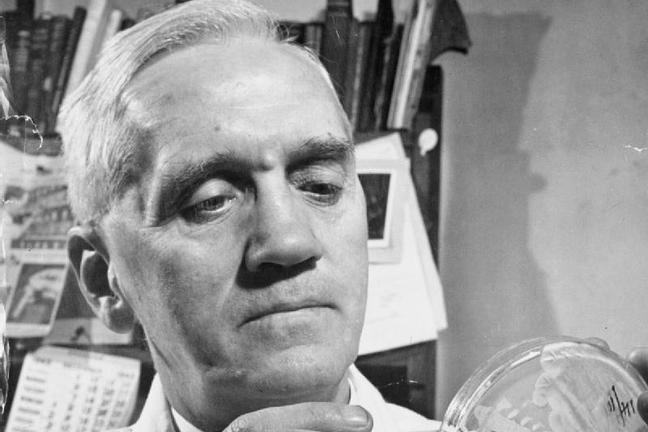 Alexander Fleming in his laboratory at St Mary's Hospital, London (1944).
