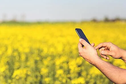 Agriculture, Economics and Nature - cover image