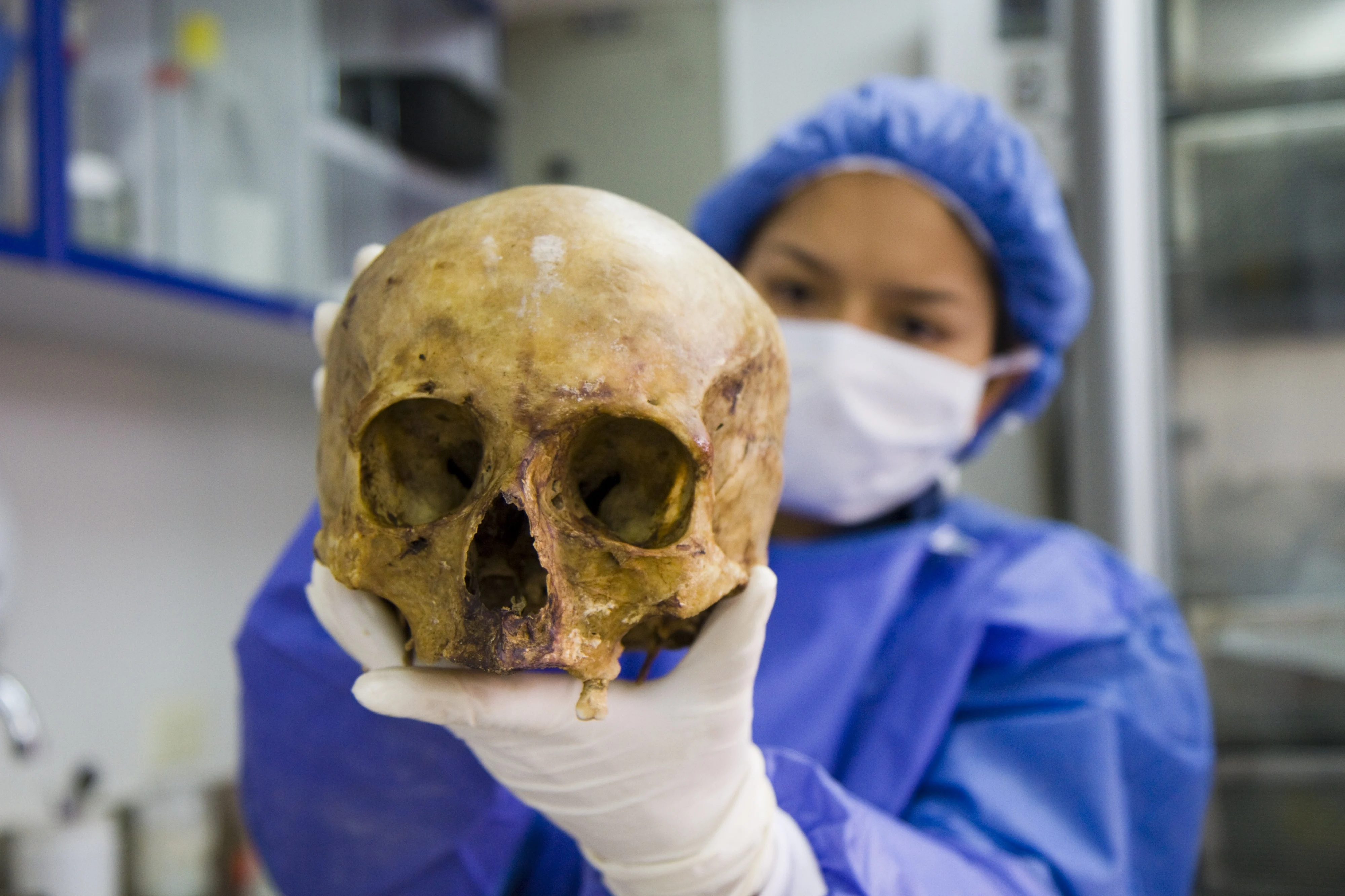 A women wearing laboratory over-clothes holds up a human skull