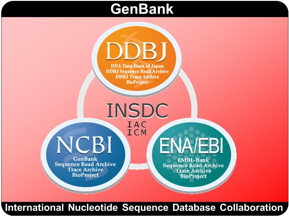 Primary Databases diagram with INSDC in the centre, DDBJ, ENA/EBI and NCBI in an outer ring