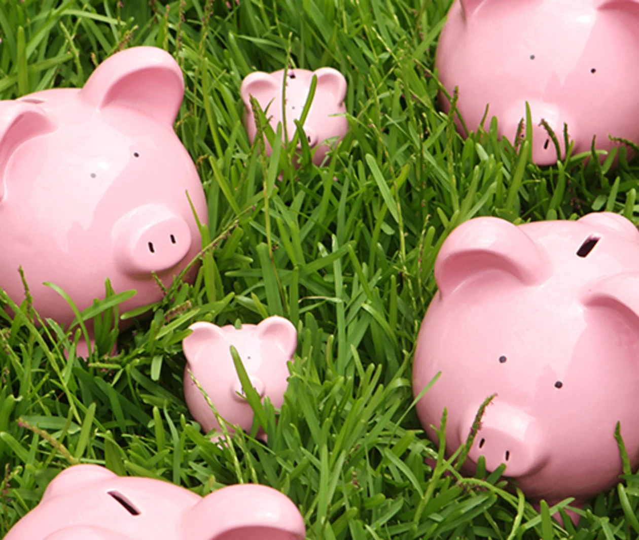 Piggy banks of different sizes on a lawn, representing personal finances