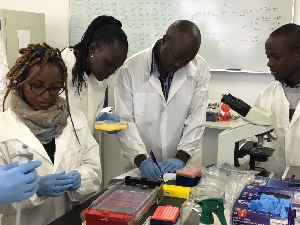 Group of learners in lab coats working together in a lab