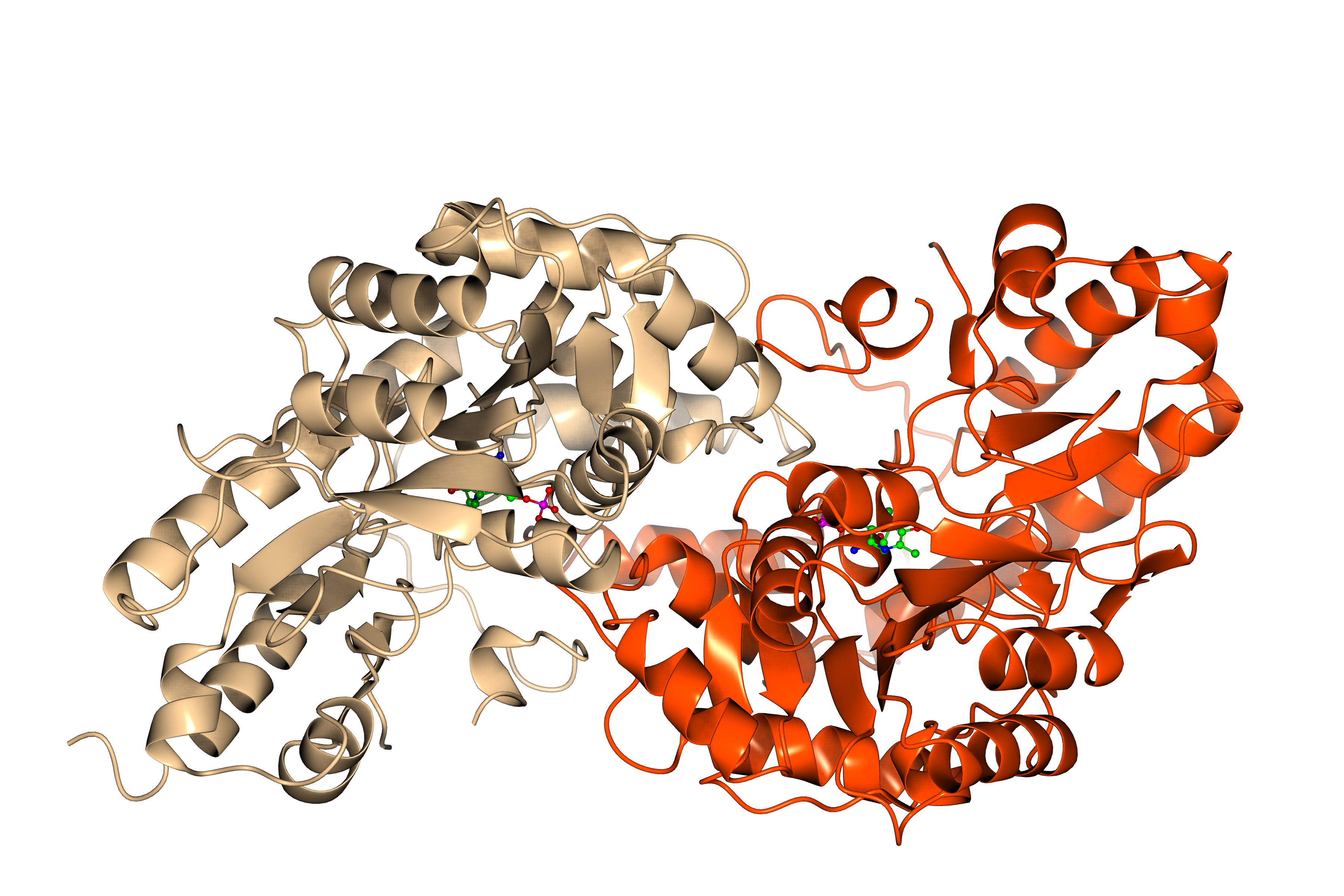 Structure of an enzyme