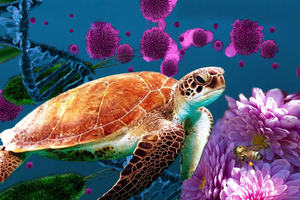 A image depicting many forms of life! A sea turtle takes up most of the image. To the right is a bee landing on pink blossom with green bacteria, a blue strand of DNA and some pink cells in the background.