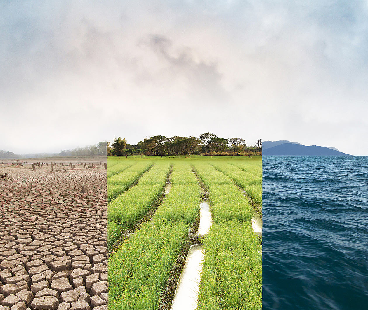 Climate change- image comparison of drought, green field and ocean.