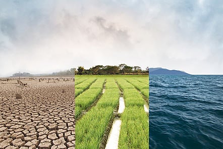 Tackling Environmental Challenges for a Sustainable Future - cover image