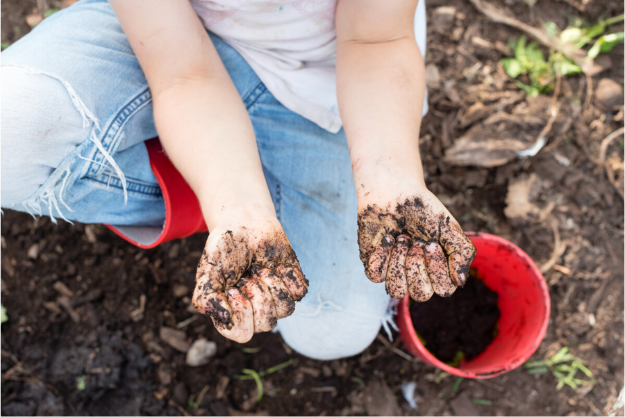 Child squatting in dirt wearing a white t-shirt, blue jeans with rip in knee and red gumboots with red bucket of dirt to left. Camera angle is looking down on child's outstretched arms whose fists are covered in mud.