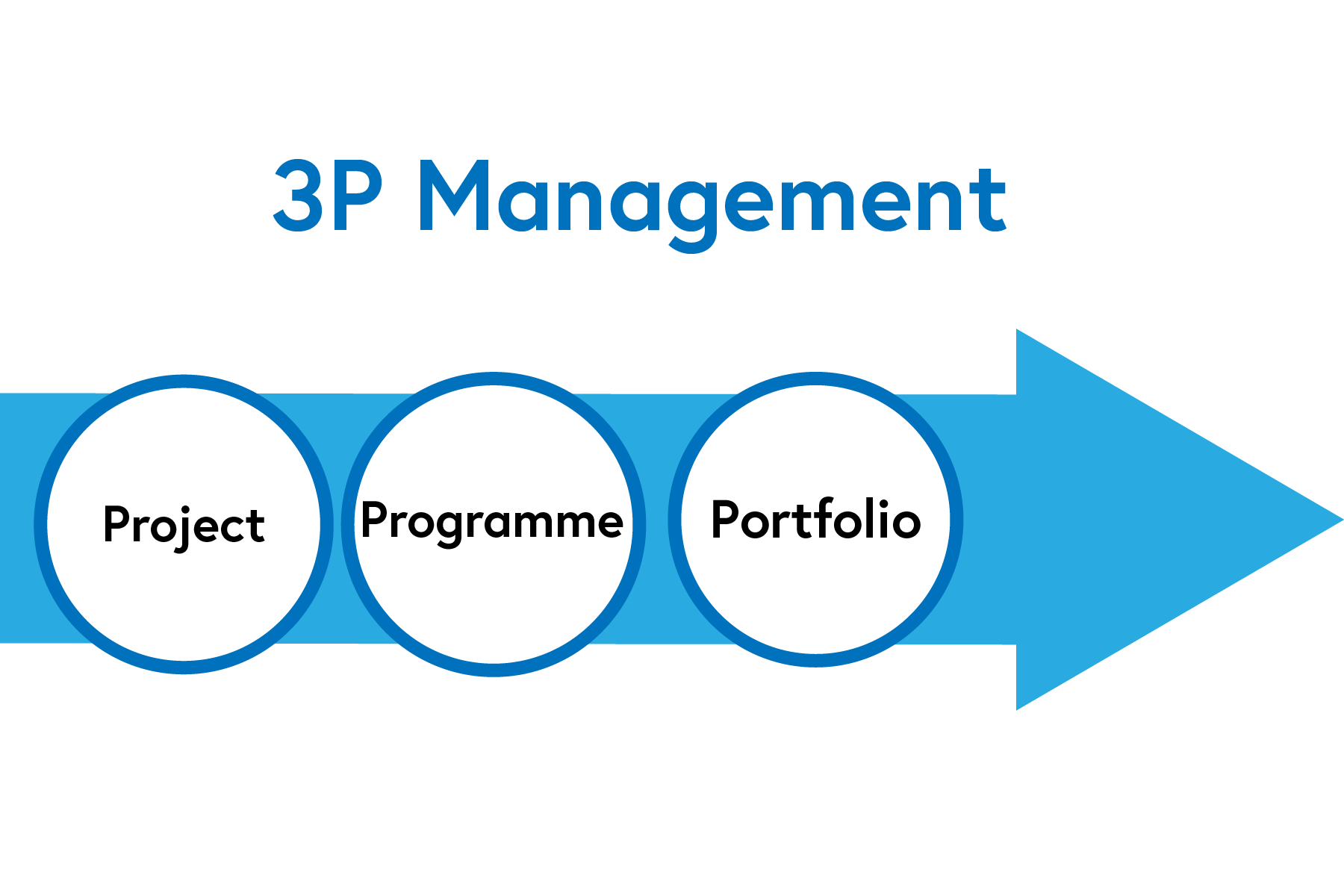 3 P management consists of project, programme, portfolio