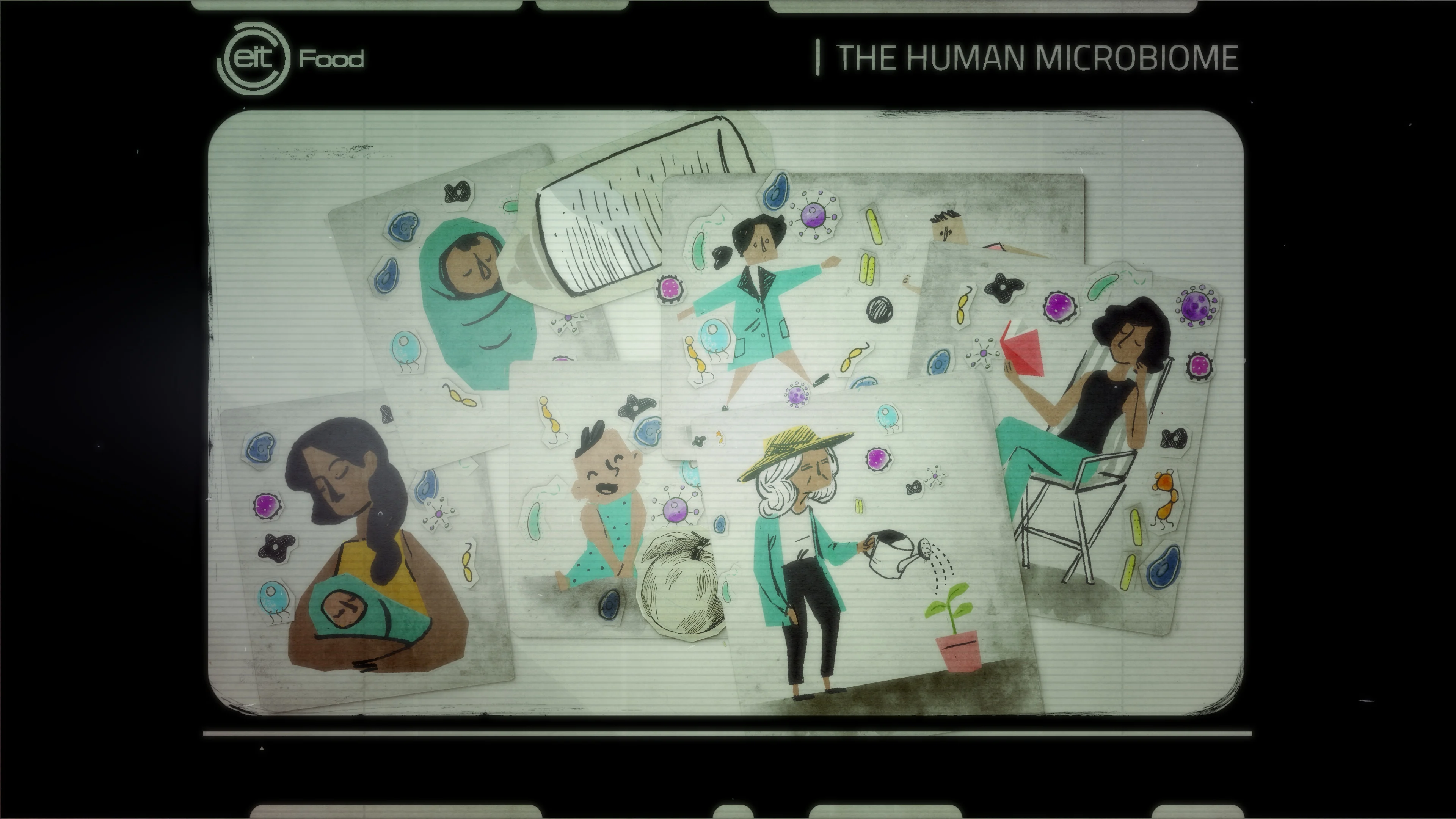 Microbiota changes during life