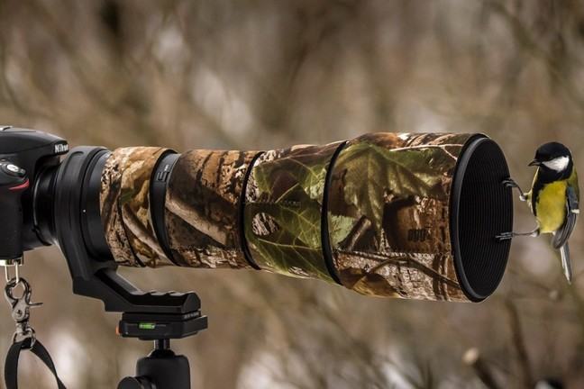 A bird perched on a camera lens
