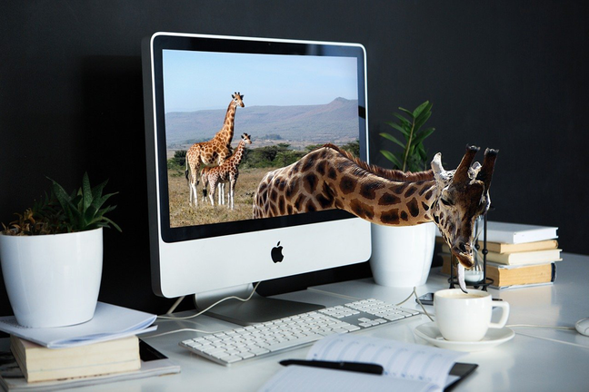 A giraffe on a computer monitor cranes through the screen to lick at a cup of coffee on the desk