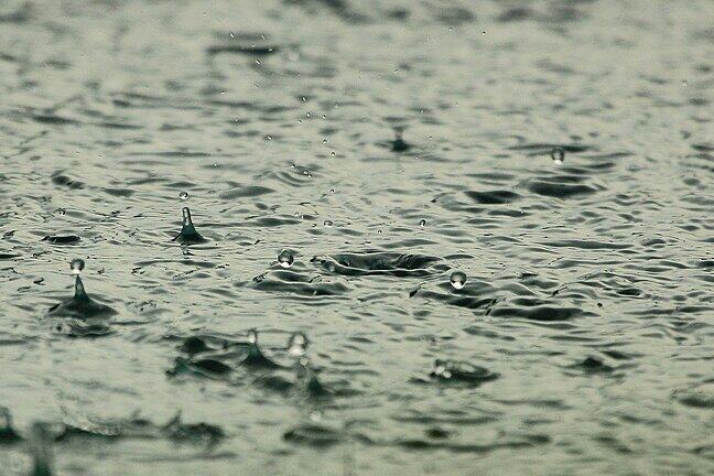 Raindrops falling into water