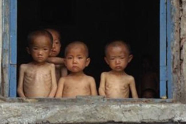 The North Korea Mass-Starvations of the 1990s