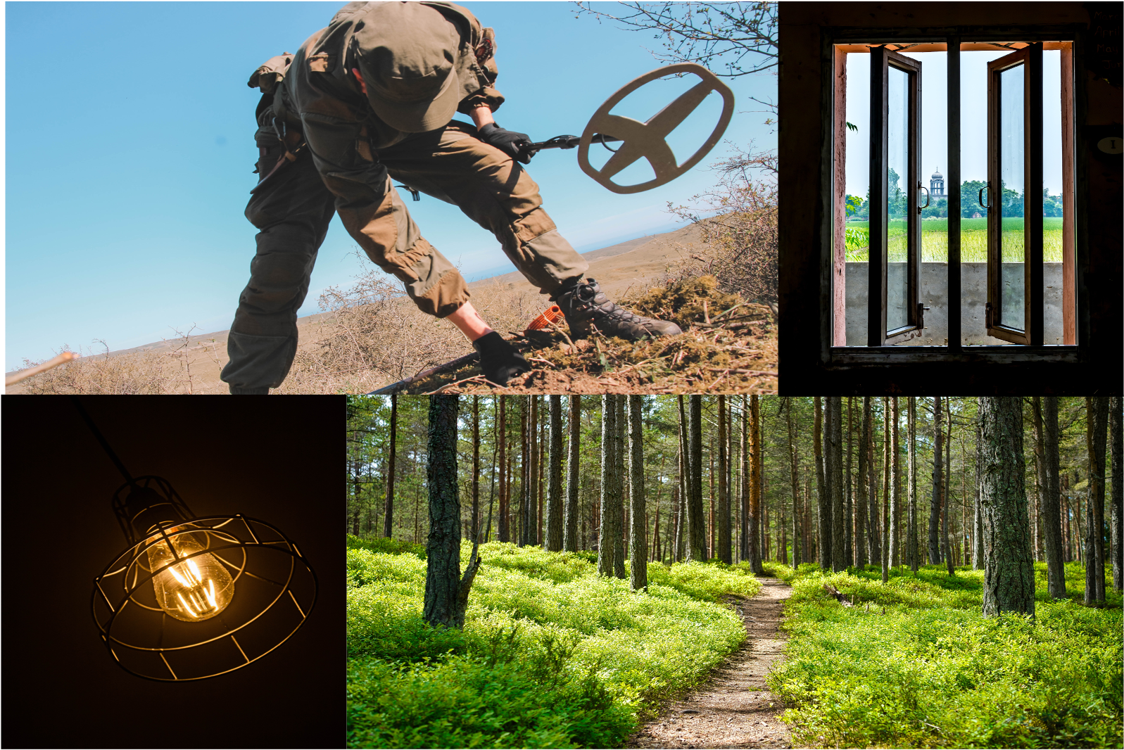 A collage of four images. A man with a metal detector, digging in the ground; a window opening onto a lush green space with a building in the background; a lit lightbulb against a dark background; and a path in a brightly lit forest on a sunny day