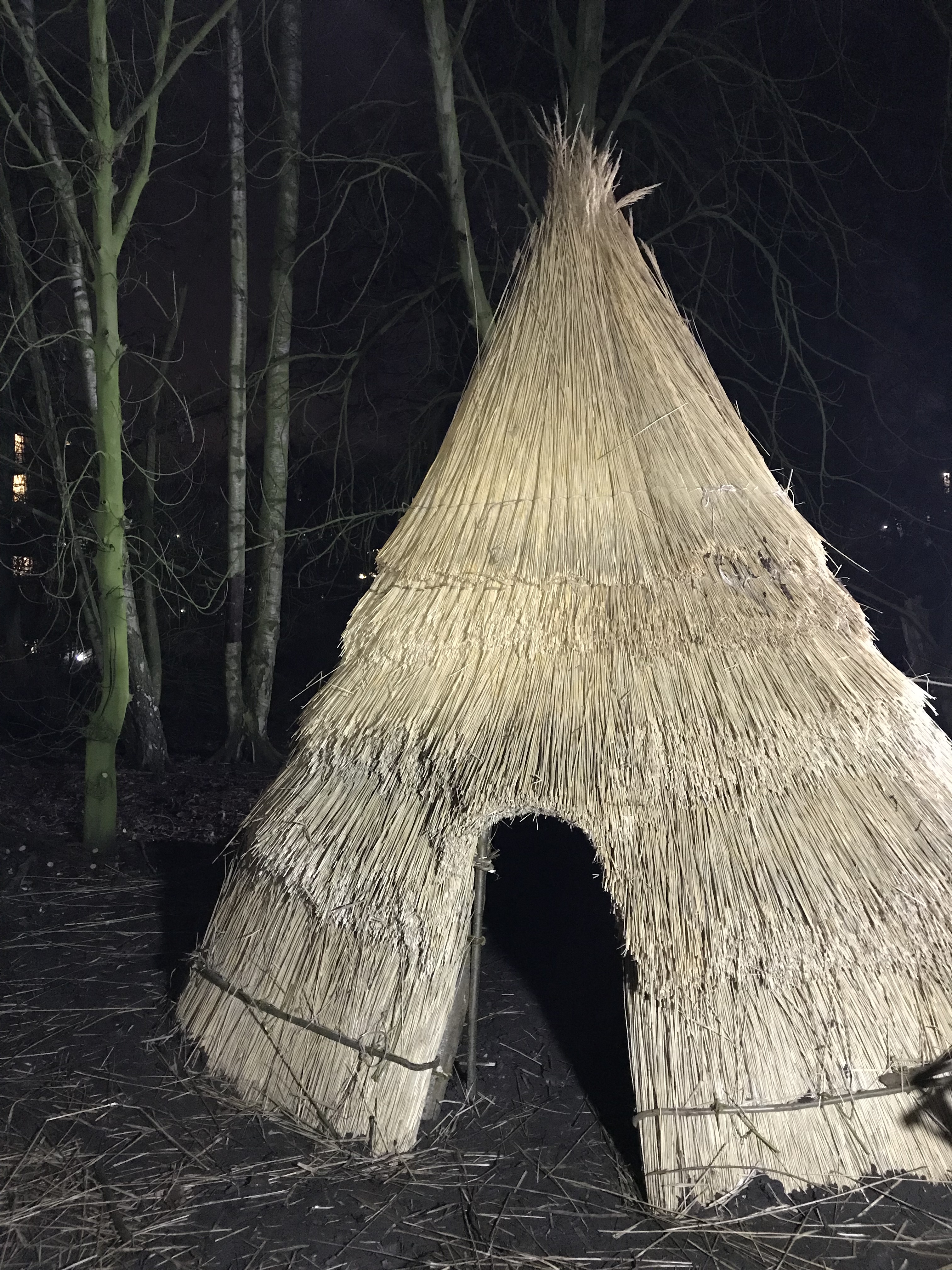 Reconstruction of a Mesolithic house