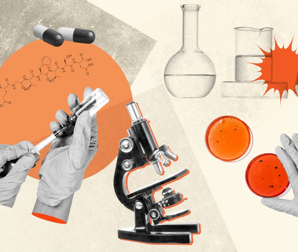 Lab equipment with microscope and petri dishes