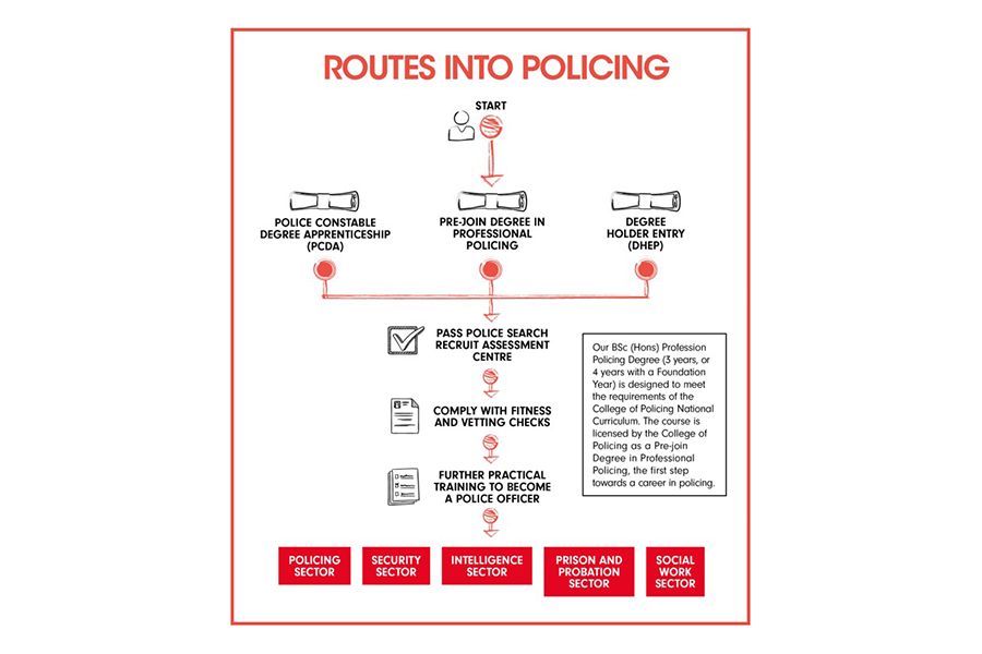 Routes into policing diagram